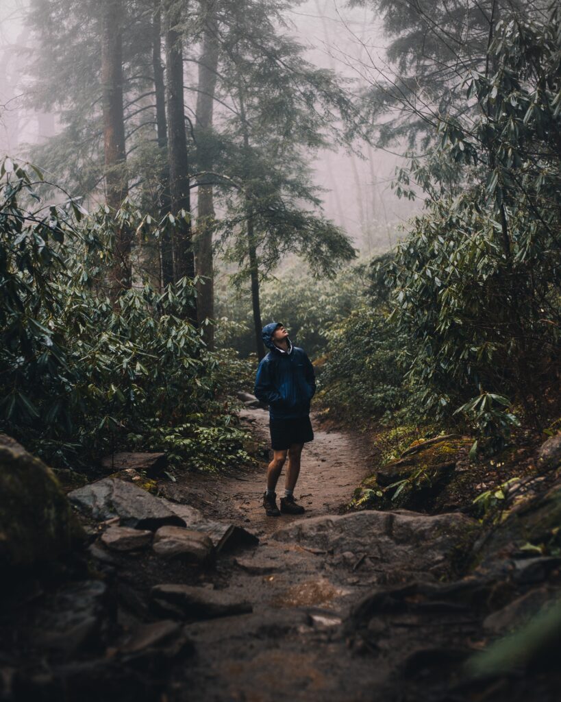 Amazon Rainforest, South America: The Worlds Largest Tropical Rainforest. Amazon Rainforest, South America: The Worlds Largest Tropical Rainforest.