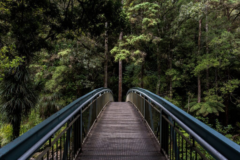 Amazon Rainforest, South America: The Worlds Largest Tropical Rainforest. Amazon Rainforest, South America: The Worlds Largest Tropical Rainforest.