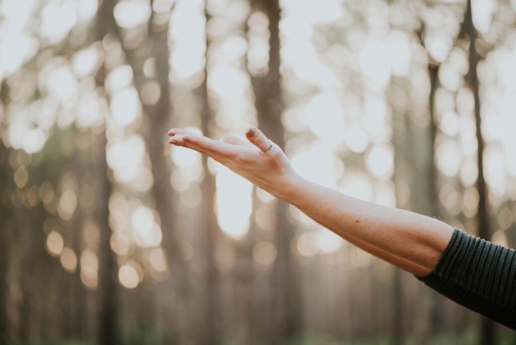 Aruba: Rejuvenate In Wellness Resorts On This Caribbean Island.