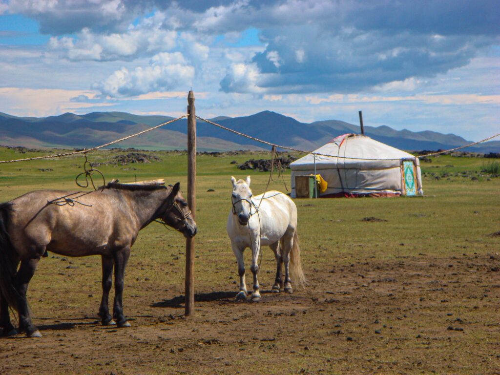 Mongolia: Witness Wild Horses, Snow Leopards, And Nomadic Culture. Mongolia: Witness Wild Horses, Snow Leopards, And Nomadic Culture.
