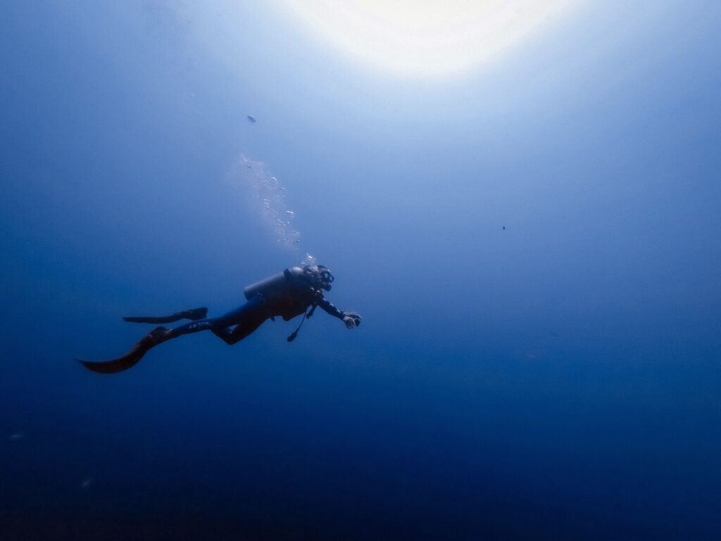Mozambiques Bazaruto Archipelago: Dive Among Coral Reefs And Dugongs. Mozambiques Bazaruto Archipelago: Dive Among Coral Reefs And Dugongs.