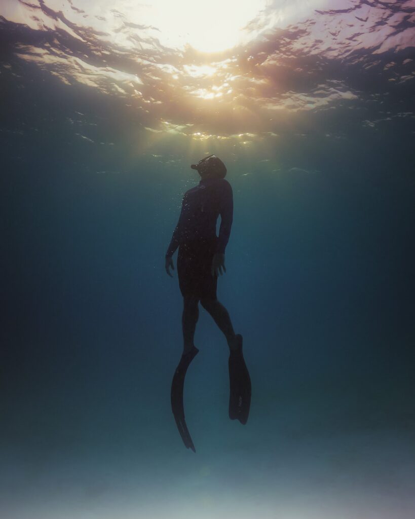 Mozambique's Bazaruto Archipelago: Dive Among Coral Reefs And Dugongs. 6 Mozambique’s Bazaruto Archipelago: Dive Among Coral Reefs And Dugongs.