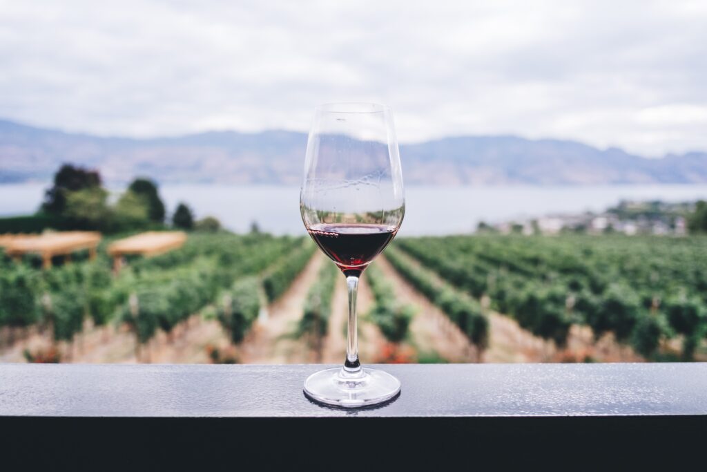 Rhone Valley, France: Famous For Its Grenache, Syrah, And Viognier Wines. 2 Rhone Valley, France: Famous For Its Grenache, Syrah, And Viognier Wines.