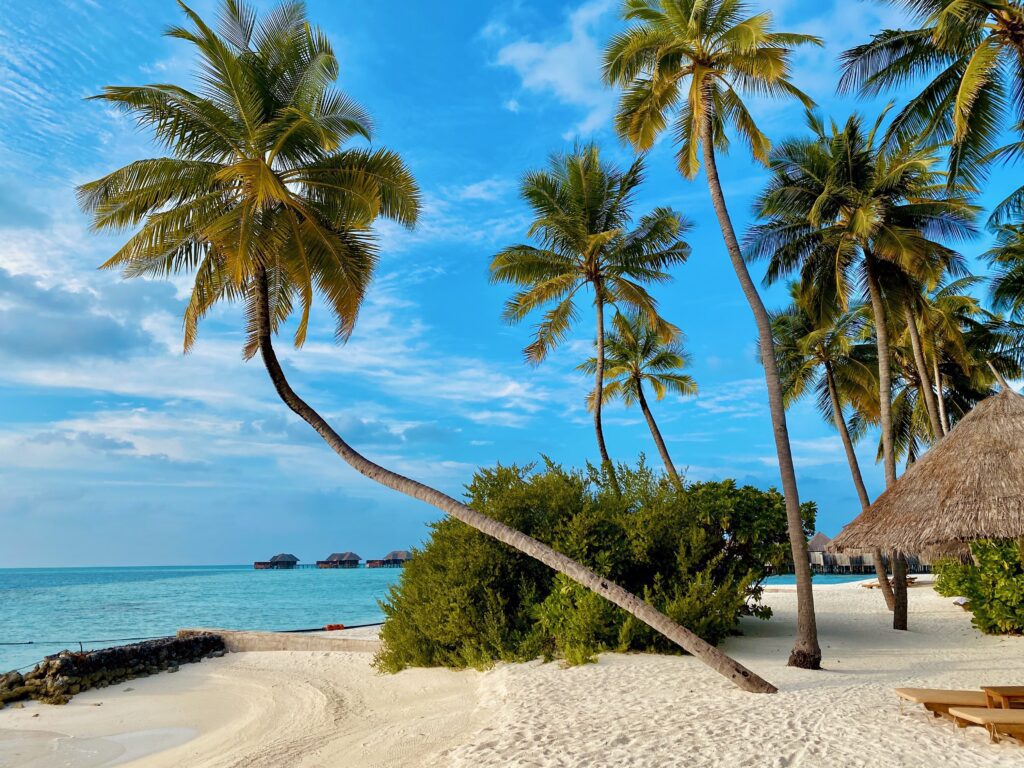 The Seychelles: Discover Exclusive Island Resorts And Pristine Beaches. 1 The Seychelles: Discover Exclusive Island Resorts And Pristine Beaches.