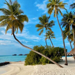 The Seychelles: Discover Exclusive Island Resorts And Pristine Beaches.