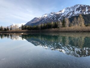 Alaska, USA: Explore Rugged Wilderness And View Bears, Moose, And Bald Eagles. 1 alaska usa 2