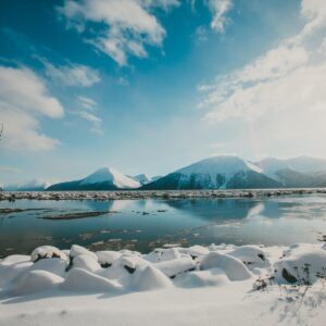 Alaska, USA: Explore Rugged Wilderness And View Bears, Moose, And Bald Eagles