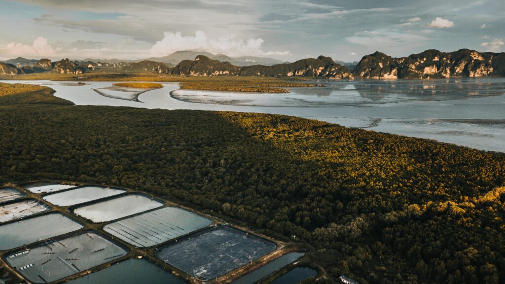 Krabi, Thailand: Enjoy Fresh Seafood And Thai Curries On Beautiful Beaches.